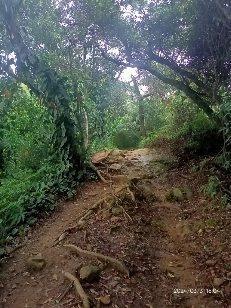 【臺北大縱走 6】中華科大→捷運麟光站、【小百岳集起來】#013 南港山 H375m_2470659