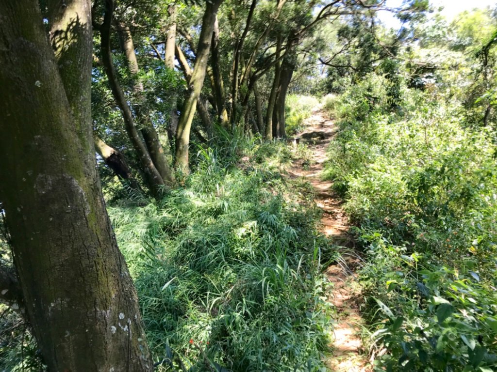 三員縱走下銅鑼_633485