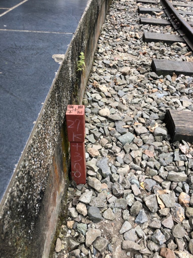 嘉義獨立山國家步道20191018_704844