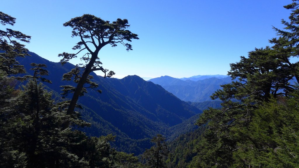 大好天氣的奇萊東稜_488992