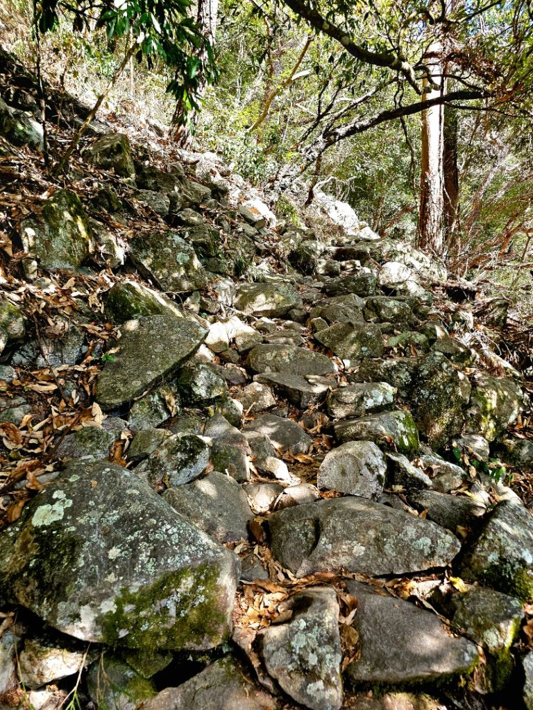 東卯山-谷關七雄(老五)_2991592