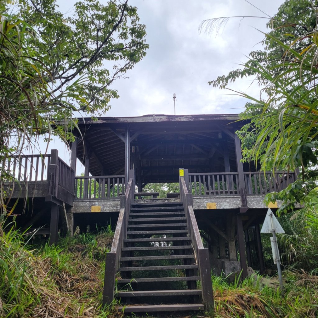 阿里山頂湖步道＞大凍山＞頂湖自然生態區封面圖