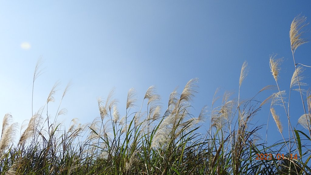 翡翠水庫壩頂/新店四十份公墓雲海+斜射光，個人在此最有層次最美的一次雲海_1993296