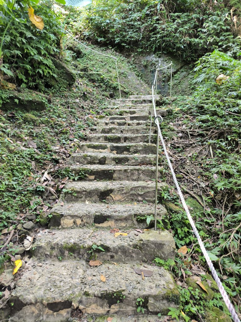 20250830天上山、旺旺嶺、太極嶺_2874092