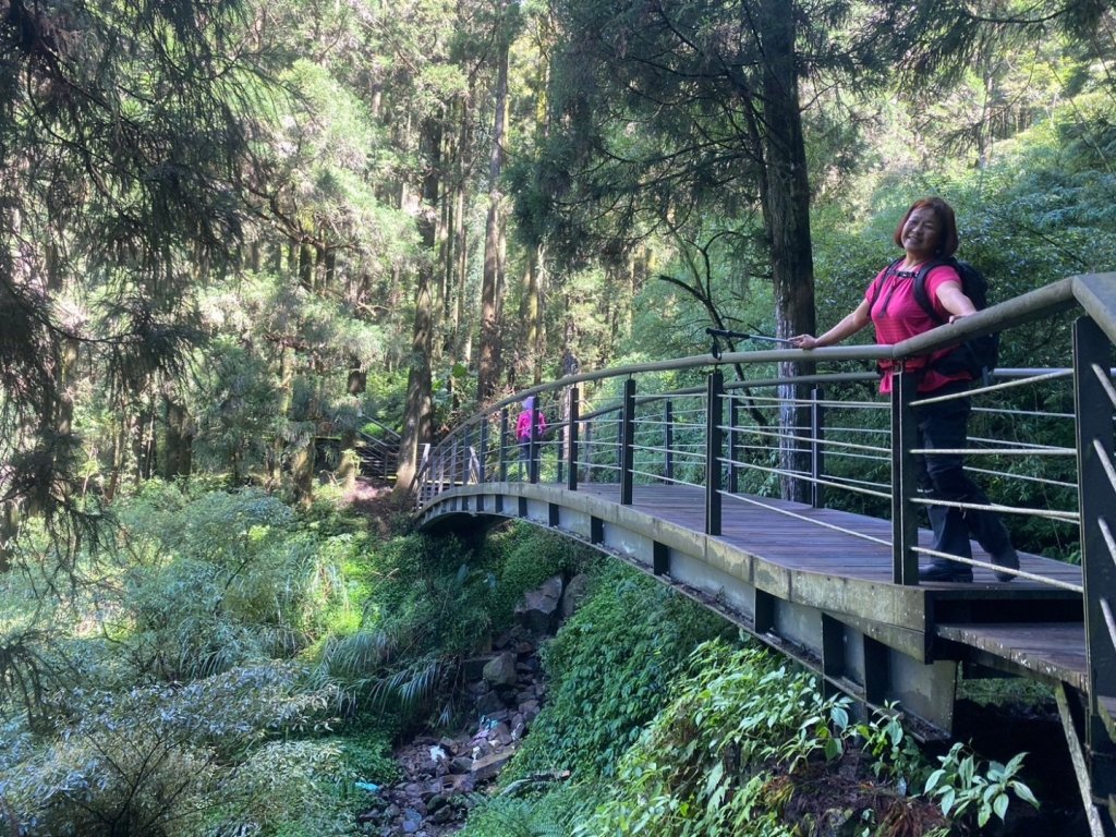 奮起湖環狀步道、麻竹湖步道_2638116