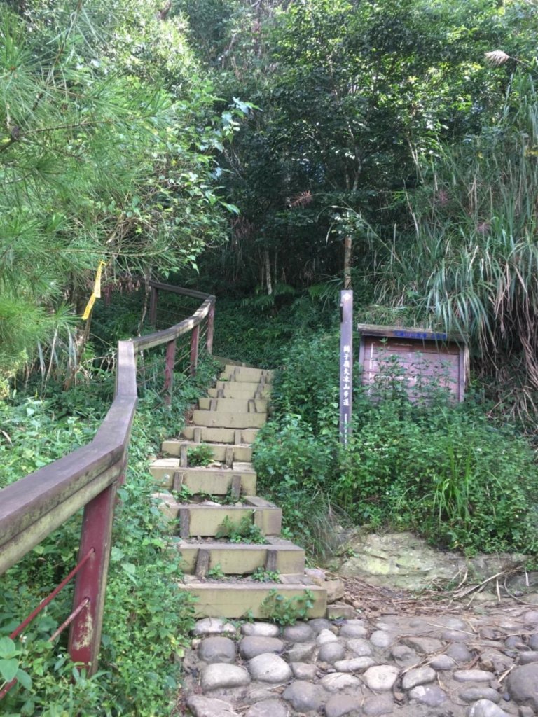 20181026-大凍山初登_444953