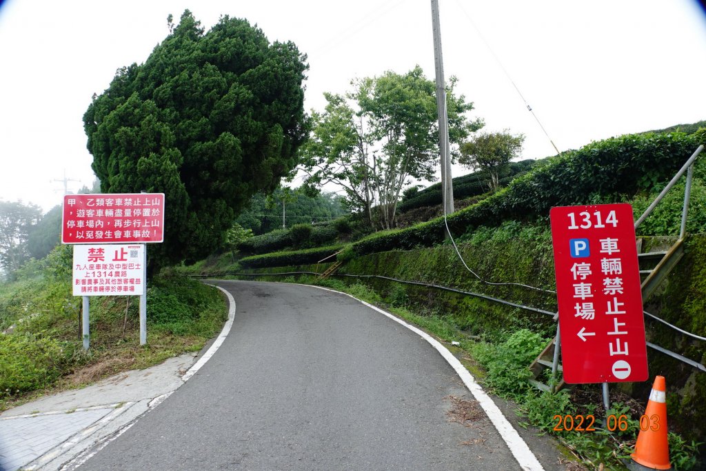 嘉義 梅山 海鼠山_1730034