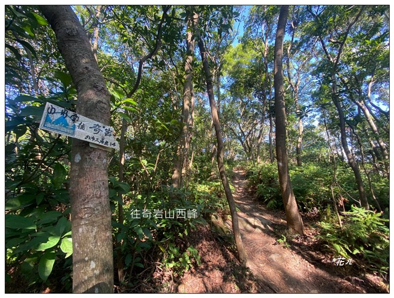 烏尖連峰縱走18基石 ( 唭哩岸山、軍艦岩、丹鳳山 )_2980898