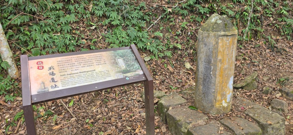 馬那邦山之雲海／雲瀑／楓紅／太陽琉璃光_2668244