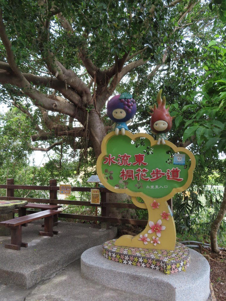 水流東桐花步道_1900258