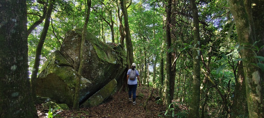 2025/09/29_仙山群峰_2897341