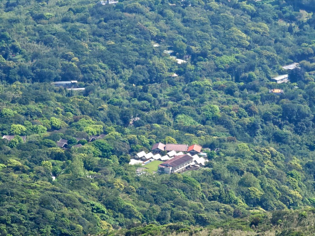 2026年臺北大縱走第三段：小油坑至風櫃口(七星山段)_3029539