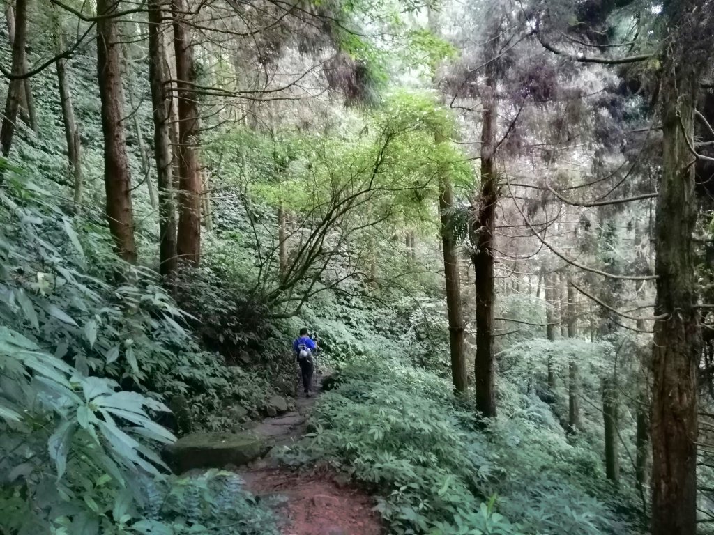 南投鹿谷~山野叢林不斷的陡上陡下~鳳凰山_1098117