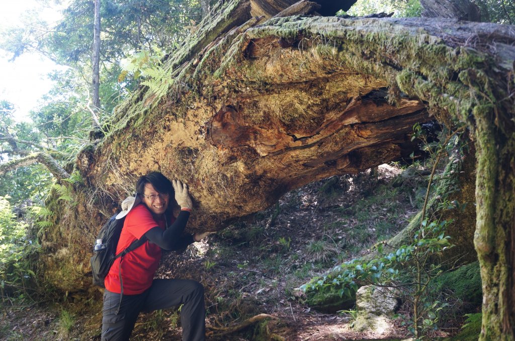 初訪鳶嘴稍來縱走心驚驚_1028577