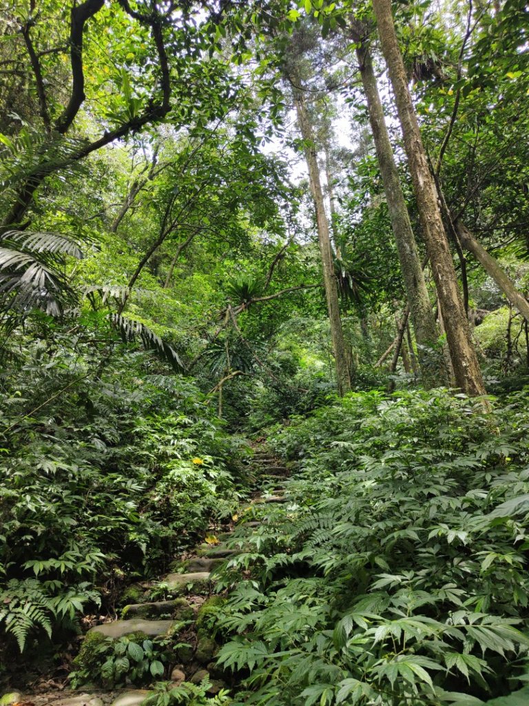 2023.08.26 草湳登二格山_2468974