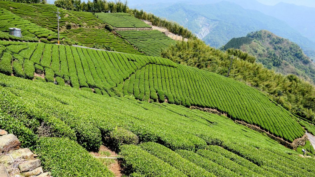 二延平步道。貿易戰封面圖