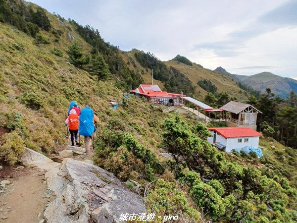 【台東海端】坐的夠久等到藍寶石般的嘉明湖。No27百岳三叉山x No16百岳向陽山 (三天兩夜)_2221204