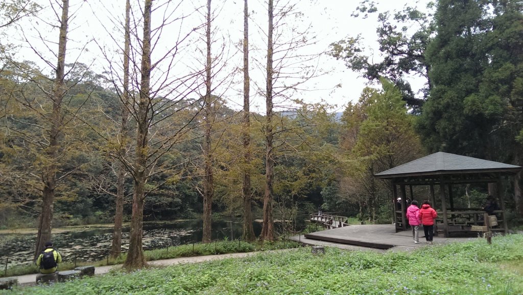 福山植物園_964662