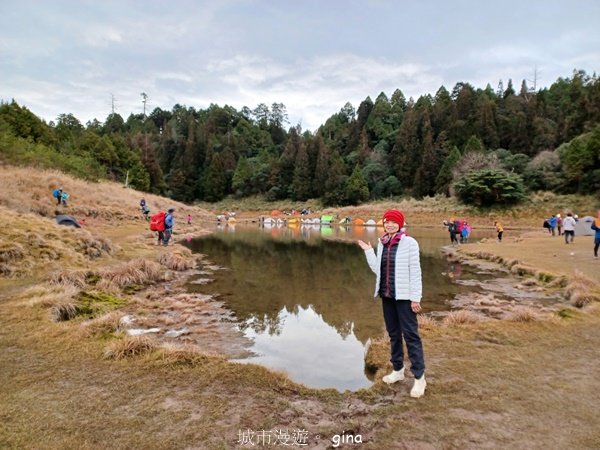 【宜蘭大同】走入魔法森林之仙女散落的珍珠。 太加縱走 (夢幻美的加羅湖)_2469279