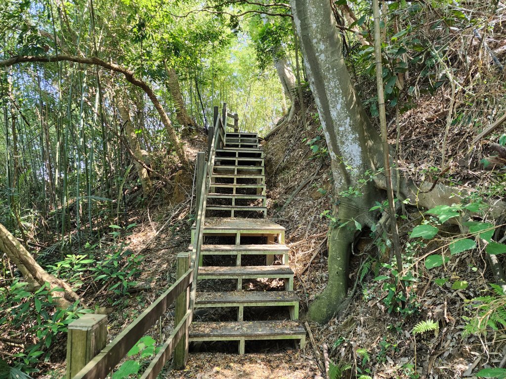 文林古道_2410461