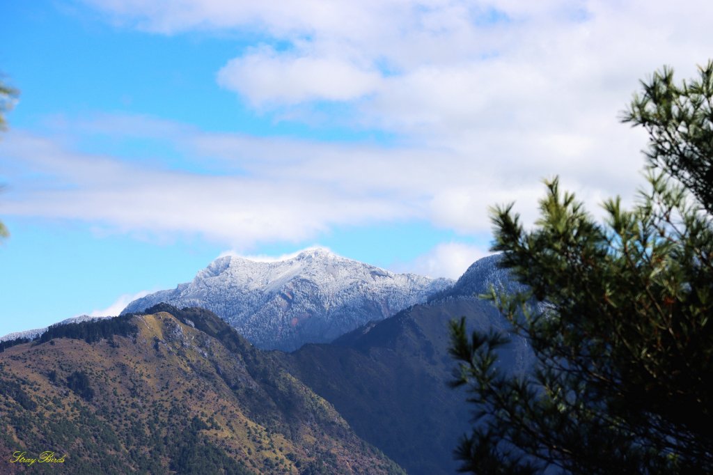 【塔塔加六山】眺望玉山最美稜線_1234943