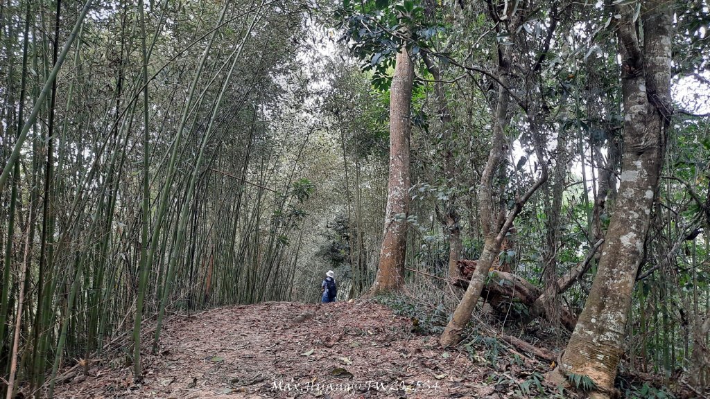 《南投》古道巡禮｜八通關古道社寮線蜈蚣崙段20251115_2937080