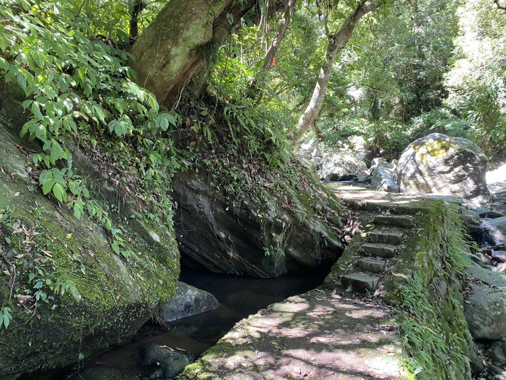 內雙溪的消暑密碼｜走一趟坪頂古圳就懂_2873168