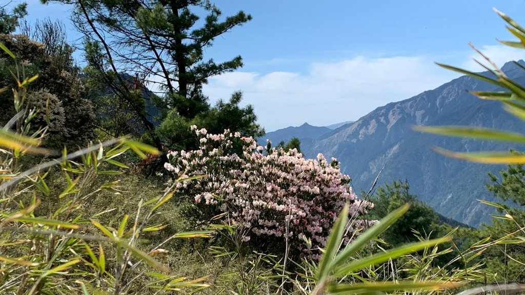 南投｜信義 郡大山兩天一夜_1487986