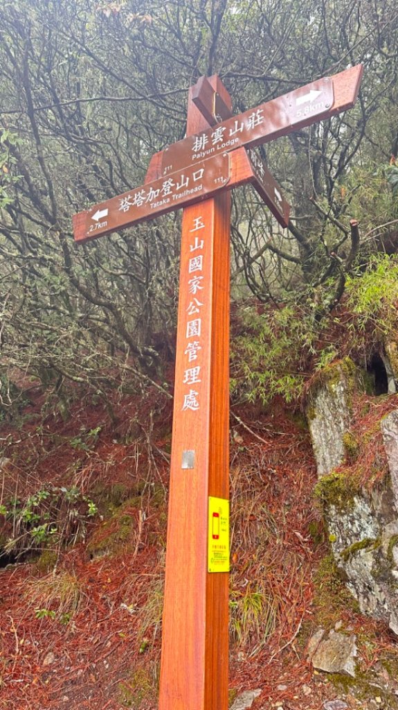 東埔-排雲-玉山西峰-玉山主峰_2753224