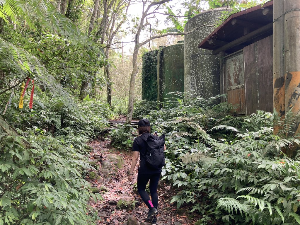 向天湖山_2523018