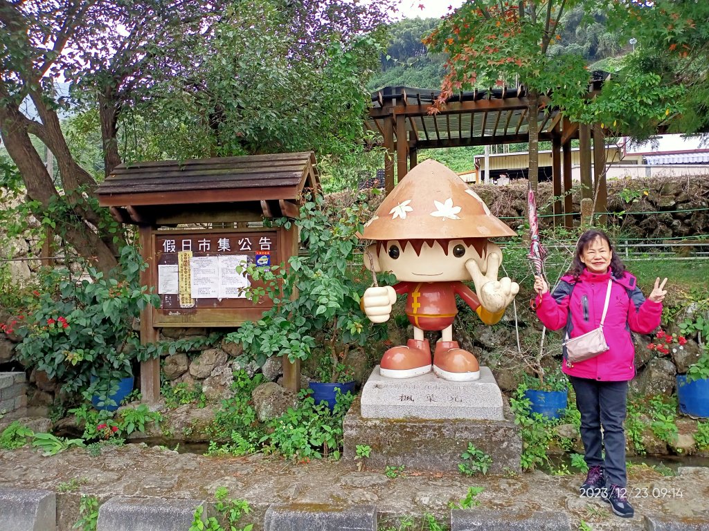 四訪苗栗的花果山-小百岳#037馬那邦山、雪霸國家公園管理處【小百岳集起來、苗栗-臺灣百大必訪步道】_2394295