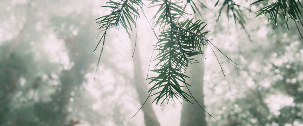 谷關七雄之二｜馬崙山_393342