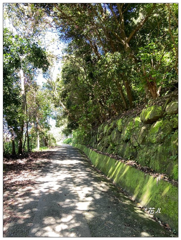 萬年峽谷步道_2578297