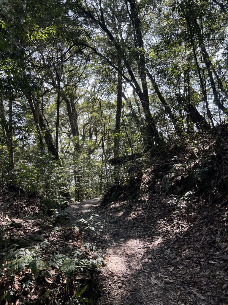 小百岳-稍來山_2752448