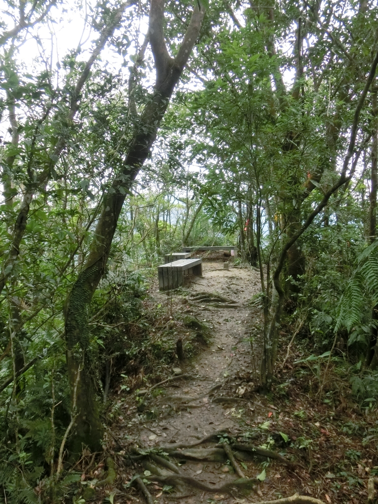 望古瀑布．嶺腳寮瀑布_92119