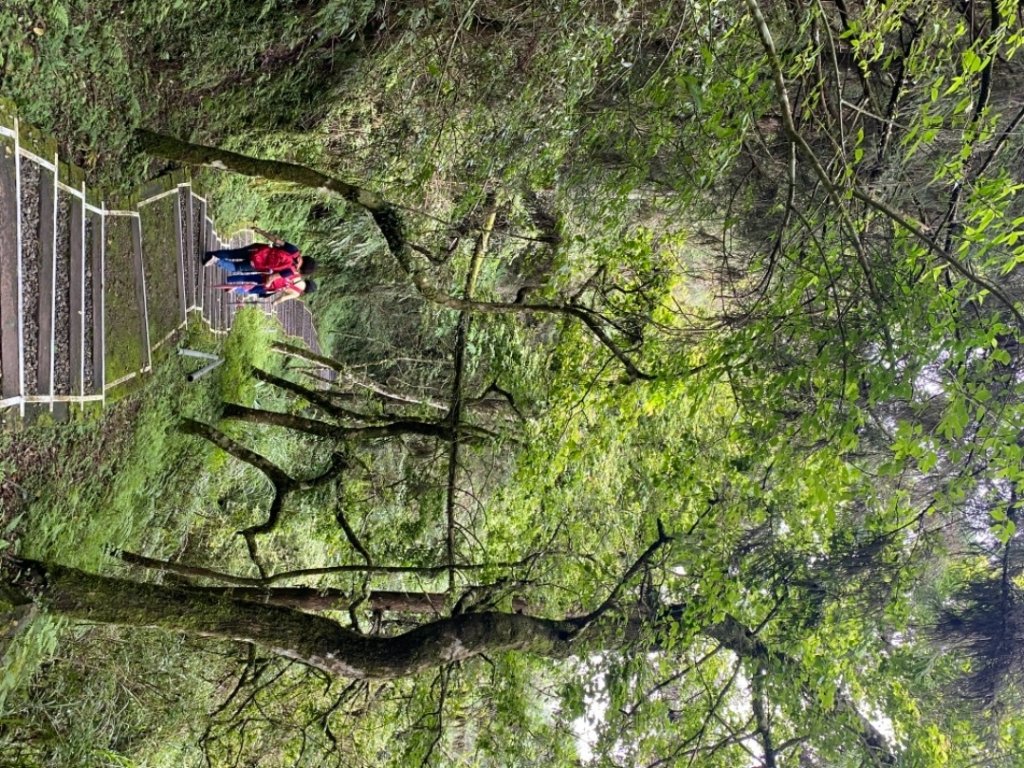 210730 杉林溪燕庵步道_1432195