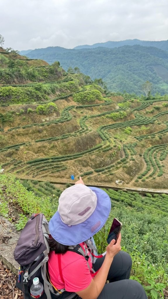 烏窟子山、獵貍尖山、黃櫸皮寮山、翡翠之眼O走_2809982