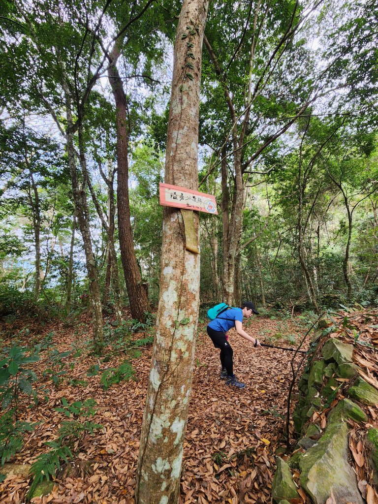 112/2/11芝生毛台山、屯野生炮台_2148016