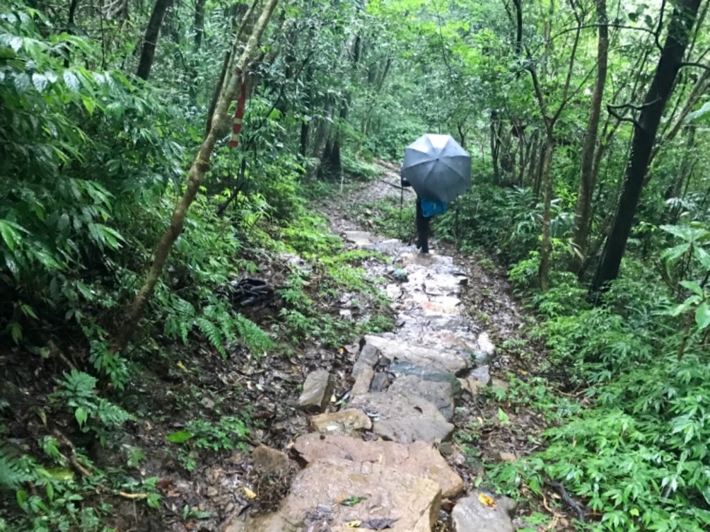 崩山坑古道環走中坑古道_632838