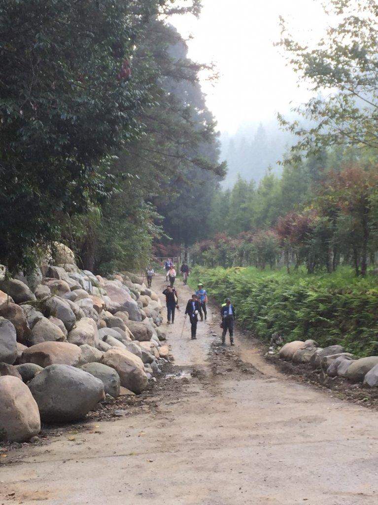 水樣森林 第一次在山裡過夜_659417