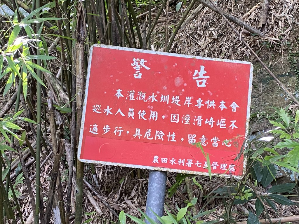 內雙溪的消暑密碼｜走一趟坪頂古圳就懂_2873172