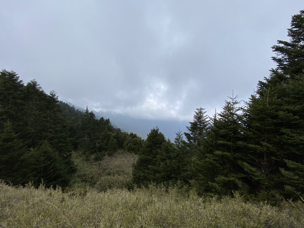 【武陵四秀兩天一夜】│全攻略│_1103612