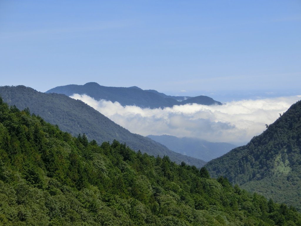 檜木原始林步道_672646