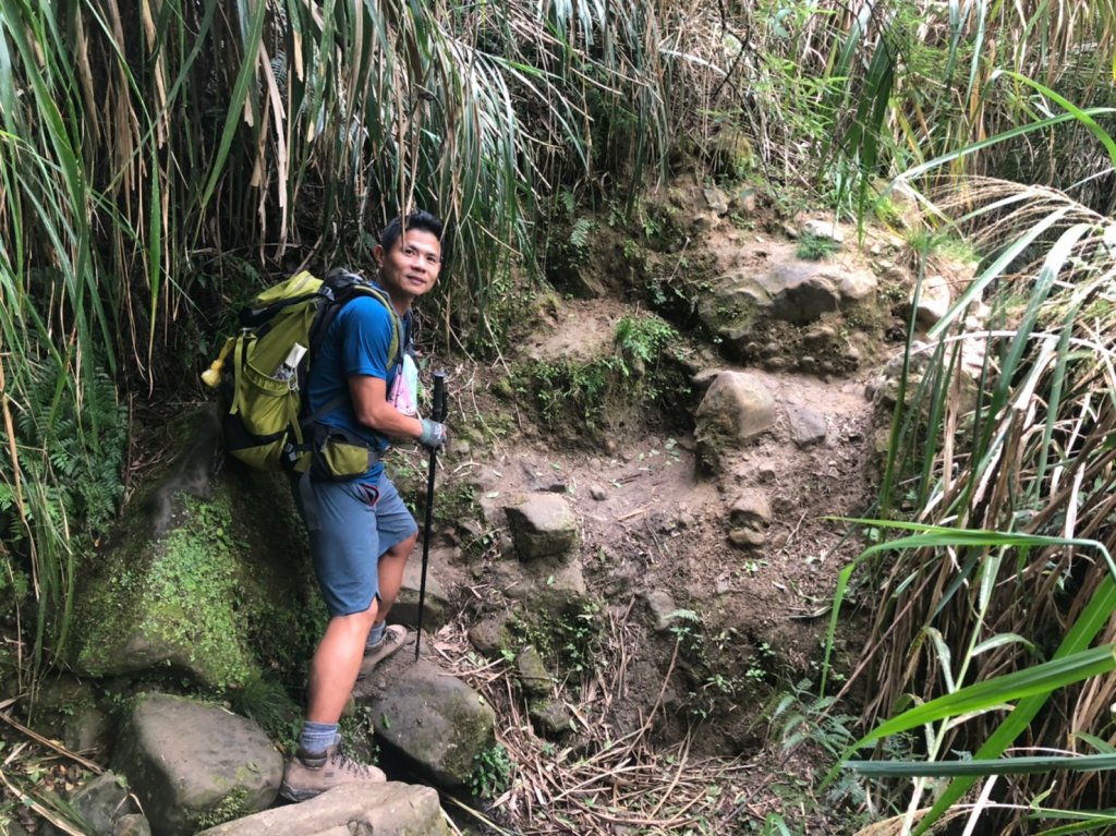 鹿屈山.水漾森林_1405010