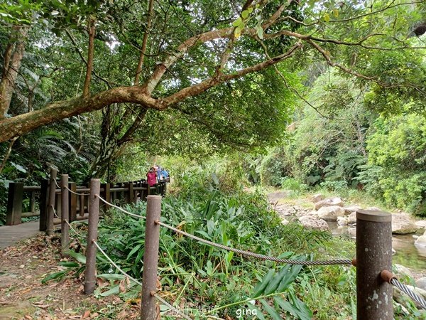 【苗栗南庄】沿途潺潺溪水聲。 蓬萊溪護魚步道_2688902