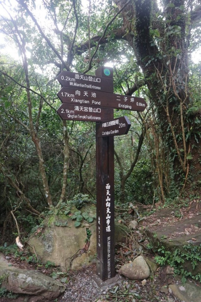 〔陽明山 〕面天山 向天山 向天池 二子坪步道。火山口湖 獨特生物蚌蟲 向天蝦（豐年蝦）_2235497