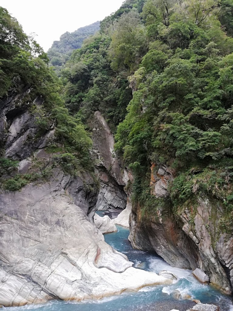 沒有美猴王的水濂洞 ～ 白楊步道_477891