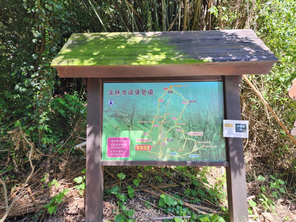 文林古道_2410454