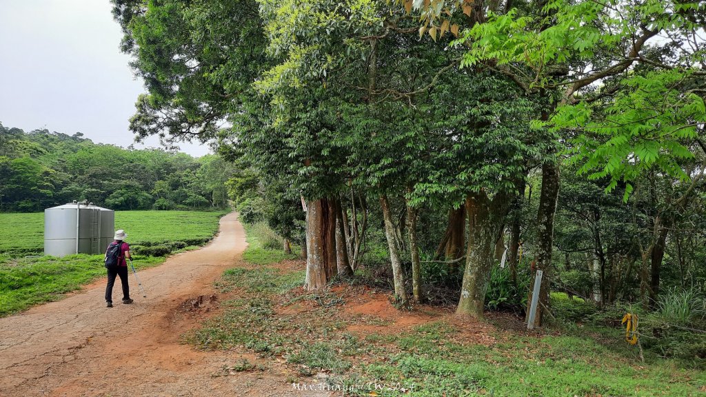 《苗栗》茶園古道｜三義登三義山慈濟山（三通嶺啟登）20240405_2472152