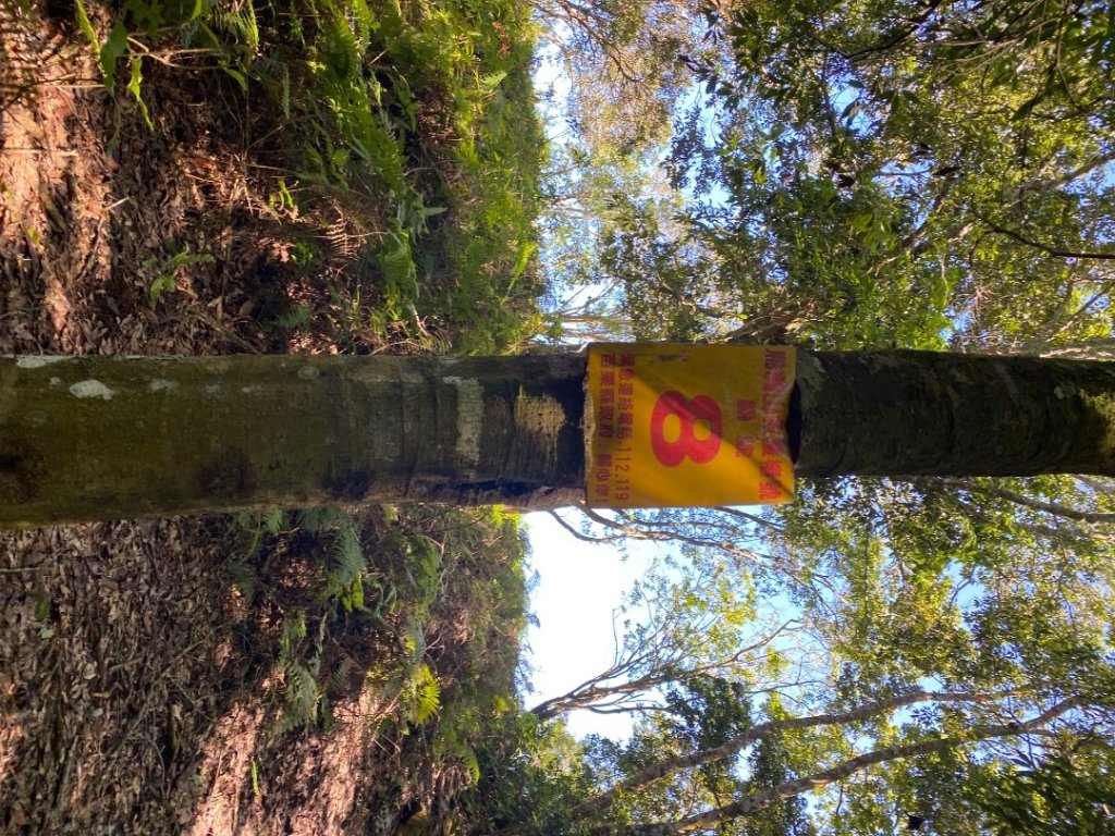 苗栗泰安-水雲三星-上島山_2612767